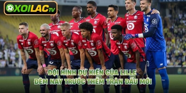 Đội Hình Dự Kiến Của Lille Đêm Nay Trước Thềm Trận Đấu Mới