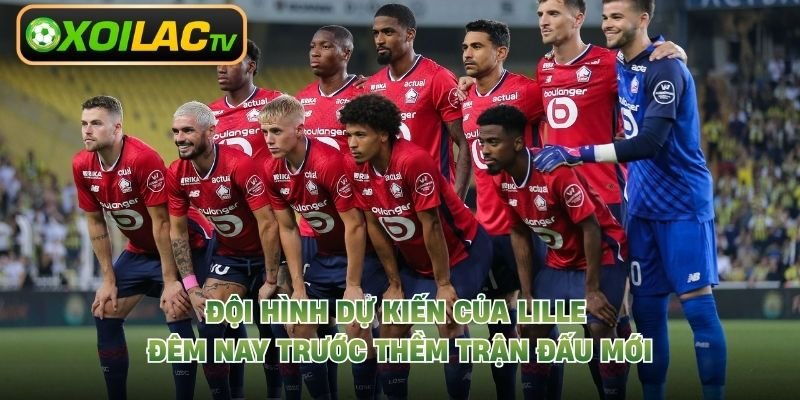 Đội Hình Dự Kiến Của Lille Đêm Nay Trước Thềm Trận Đấu Mới