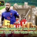 Kinh Nghiệm Bắt Kèo Chấp Đồng Banh - Biến Động Cửa Trên