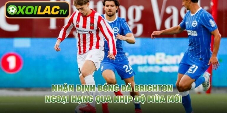 Nhận Định Bóng Đá Brighton Ngoại Hạng Qua Nhịp Độ Mùa Mới