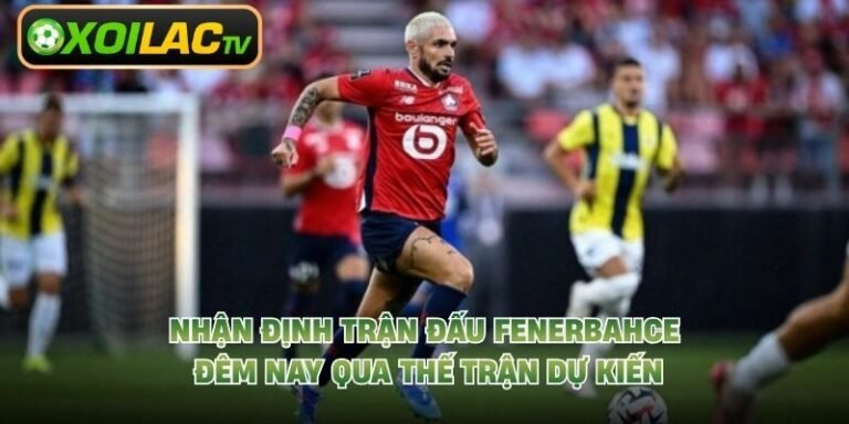 Nhận Định Trận Đấu Fenerbahce Đêm Nay Qua Thế Trận Dự Kiến