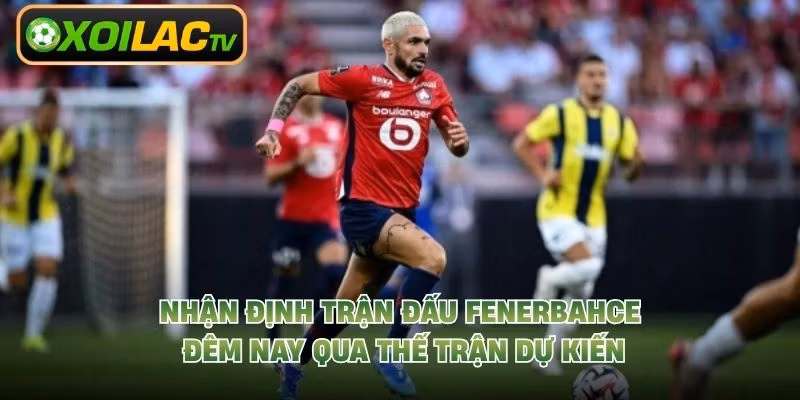 Nhận Định Trận Đấu Fenerbahce Đêm Nay Qua Thế Trận Dự Kiến